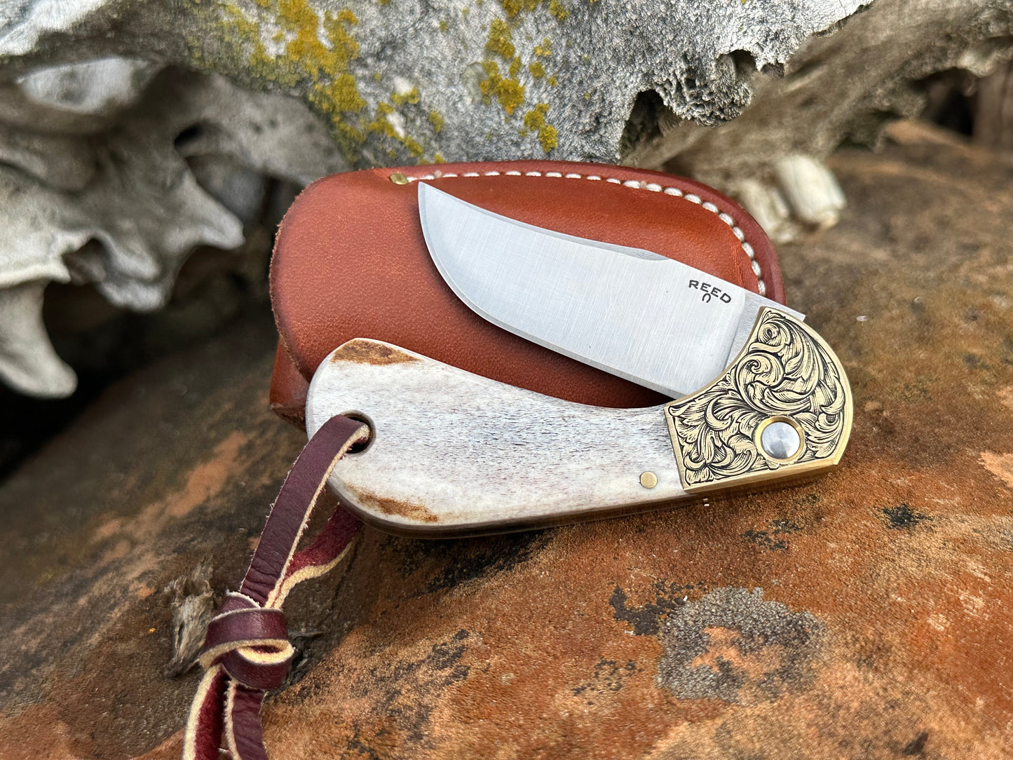 REED Switchblade Elk