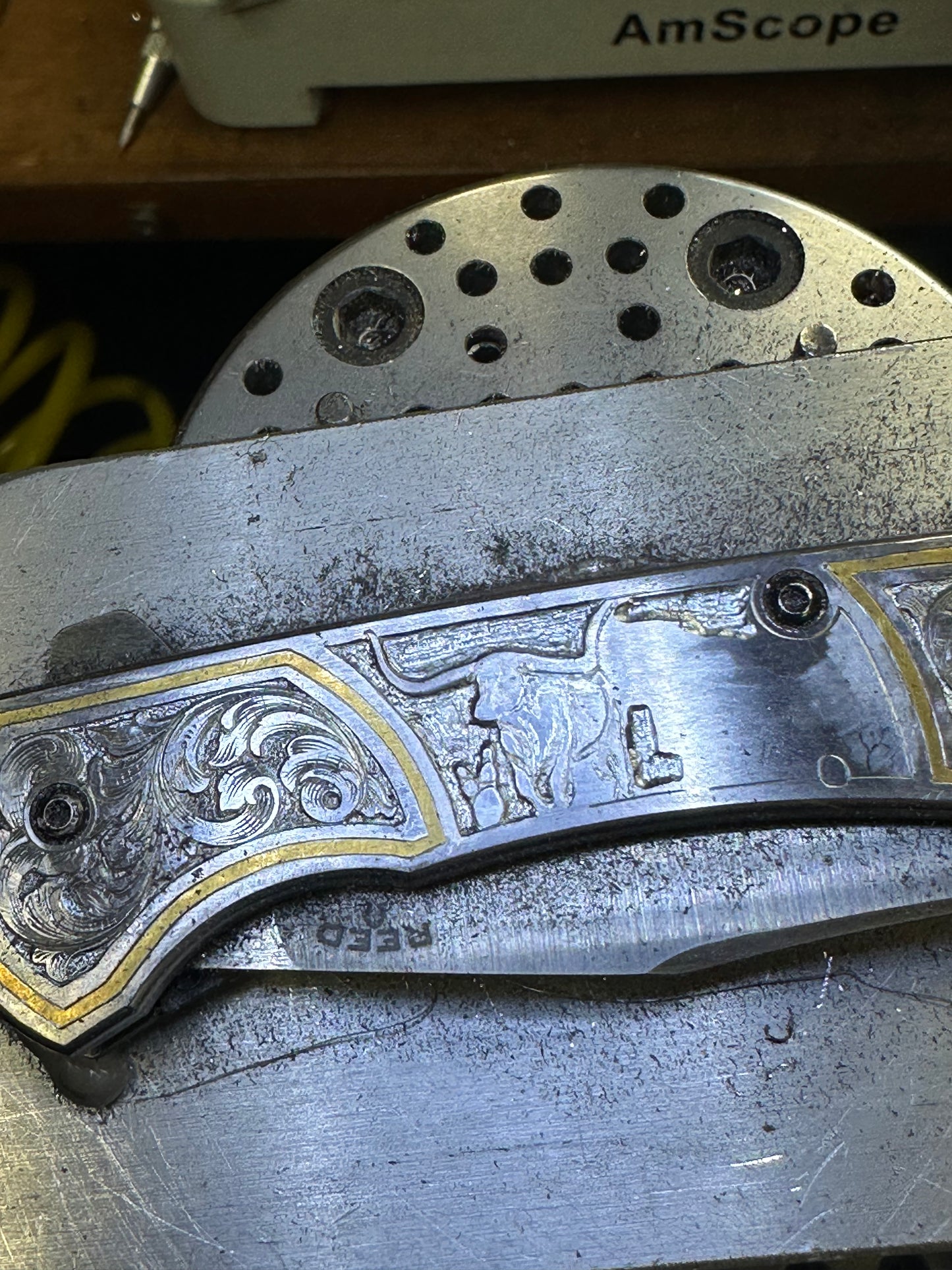 Longhorn Themed Collectible Knife