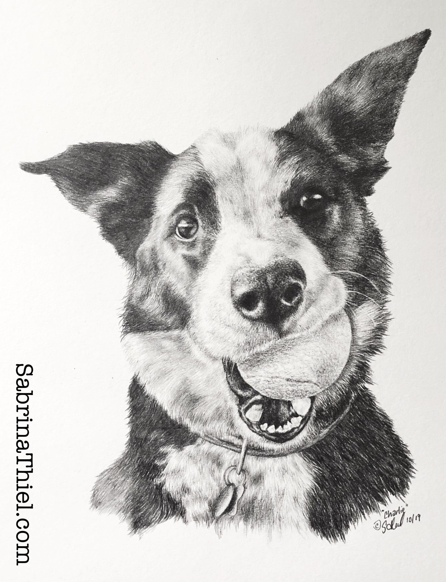 Dog Portrait