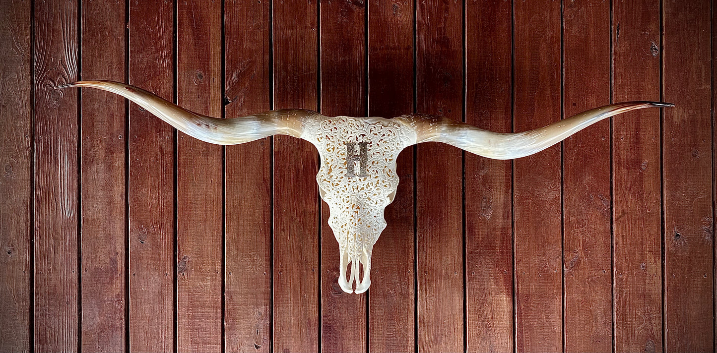 The Wisconsin Project