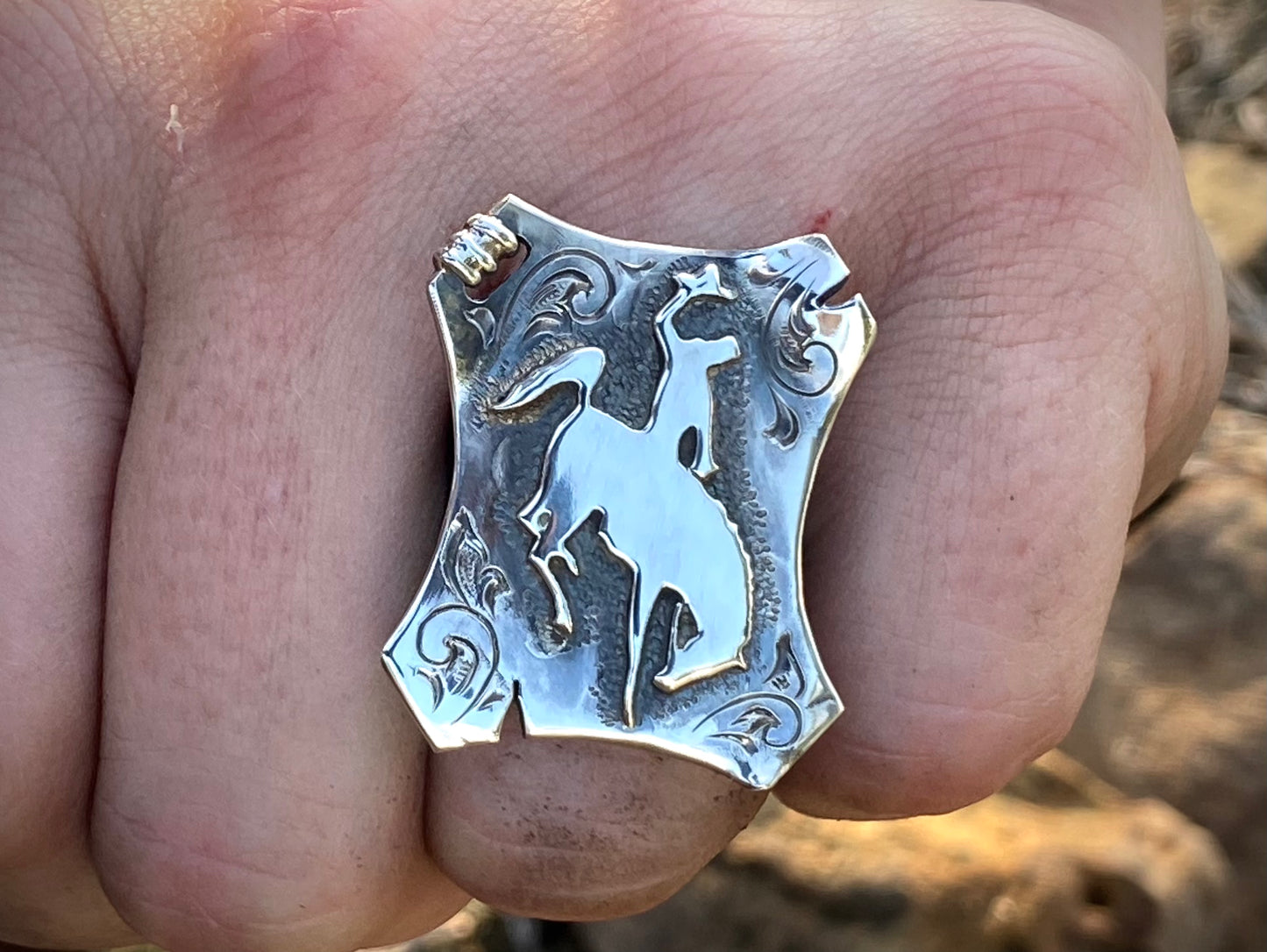 Bronc Ring