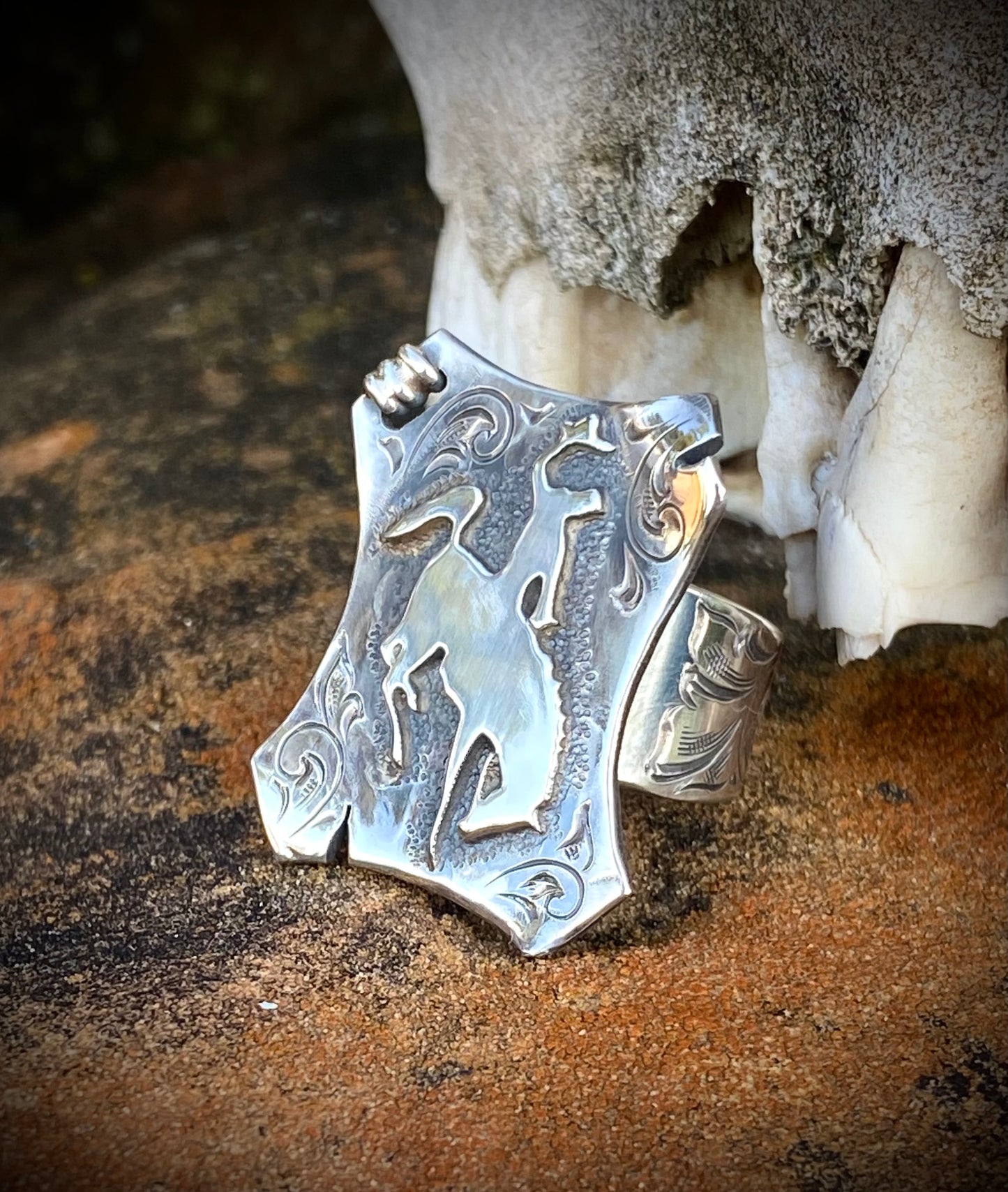 Bronc Ring