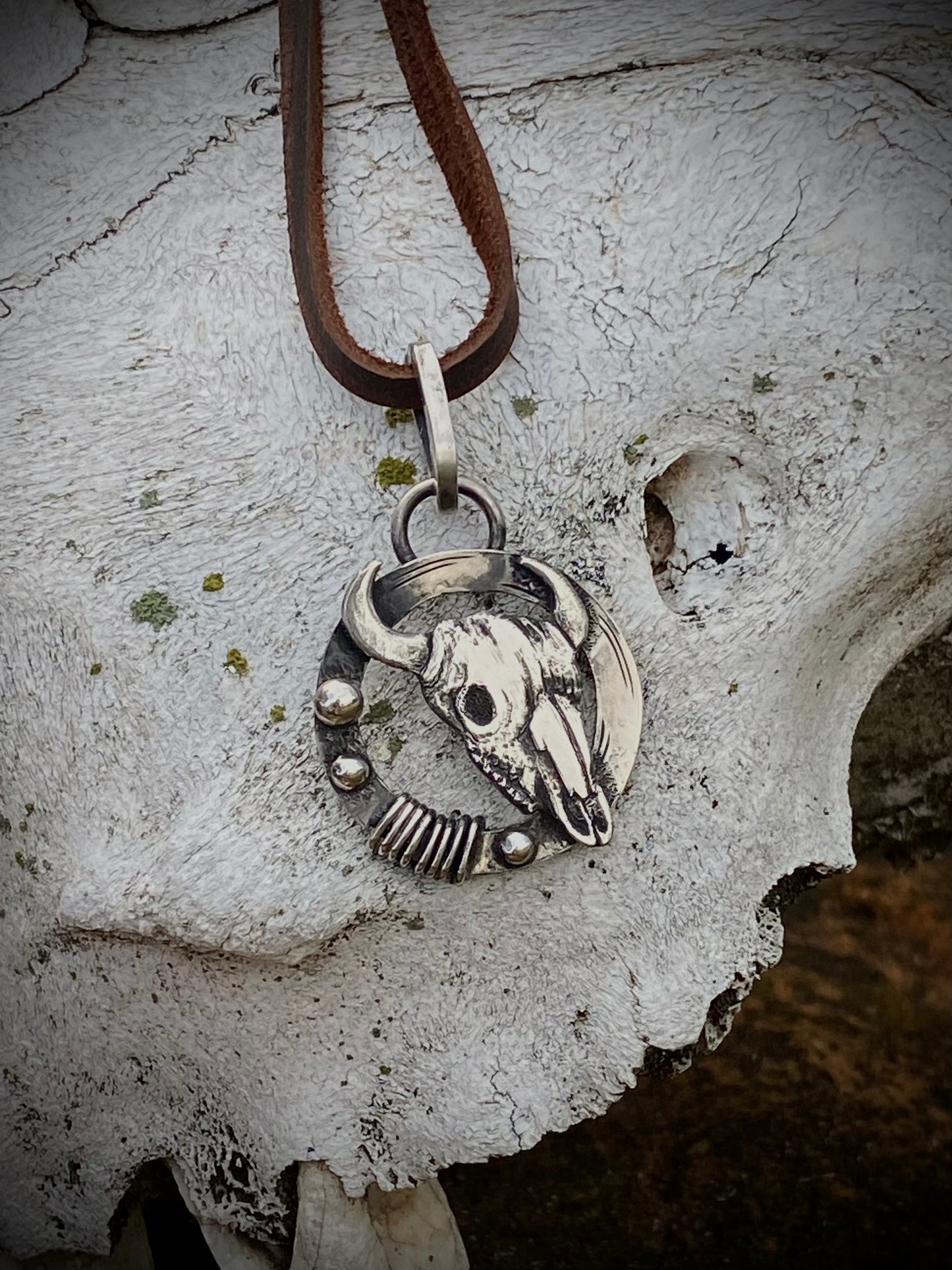 Bison Skull