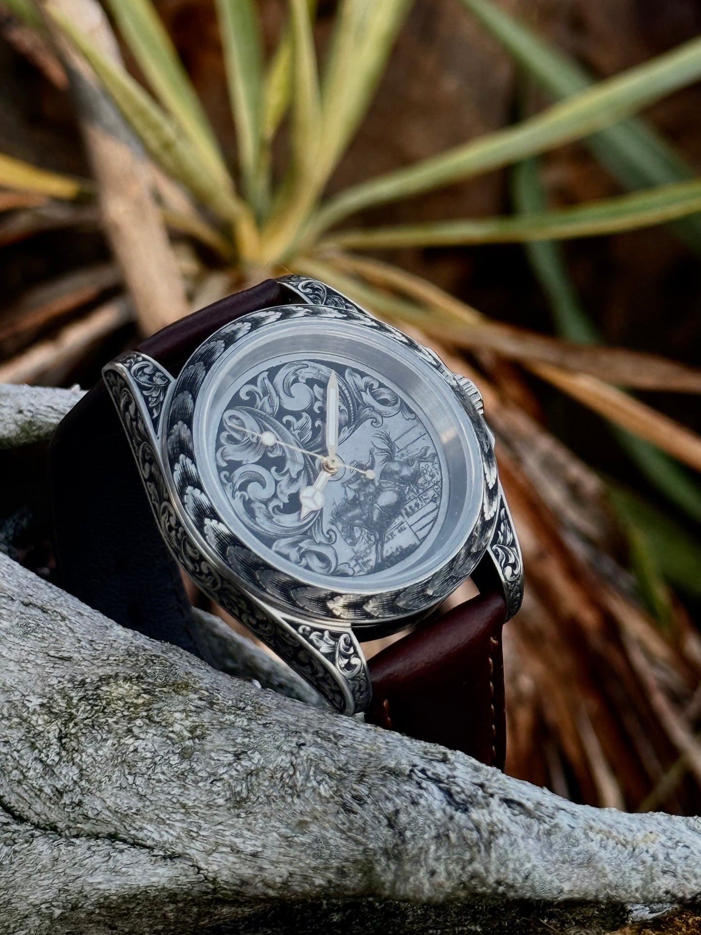 Bronc Watch #05